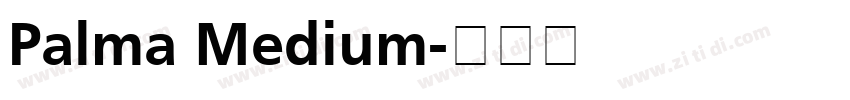 Palma Medium字体转换